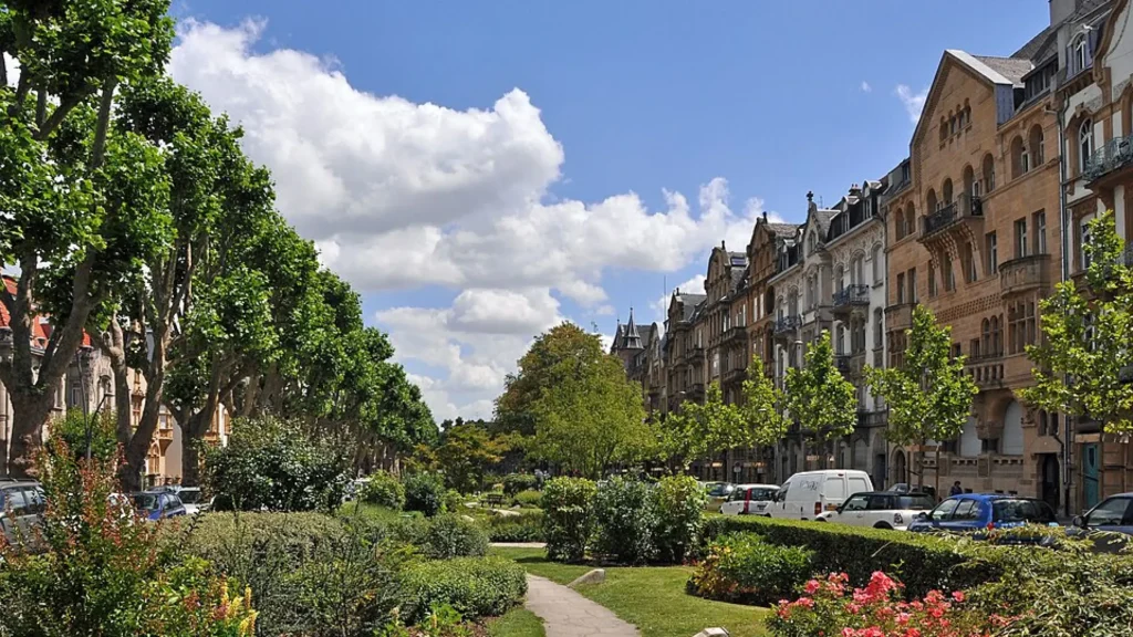 ¡Las paredes del escándalo! El lujoso museo de Epstein en París