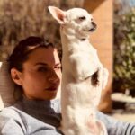 ¡Adiós a Pony! La traviesa reina de Miren Ibarguren que hizo historia