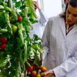 ¡La Reina Letizia se pone robotizada en El Ejido!