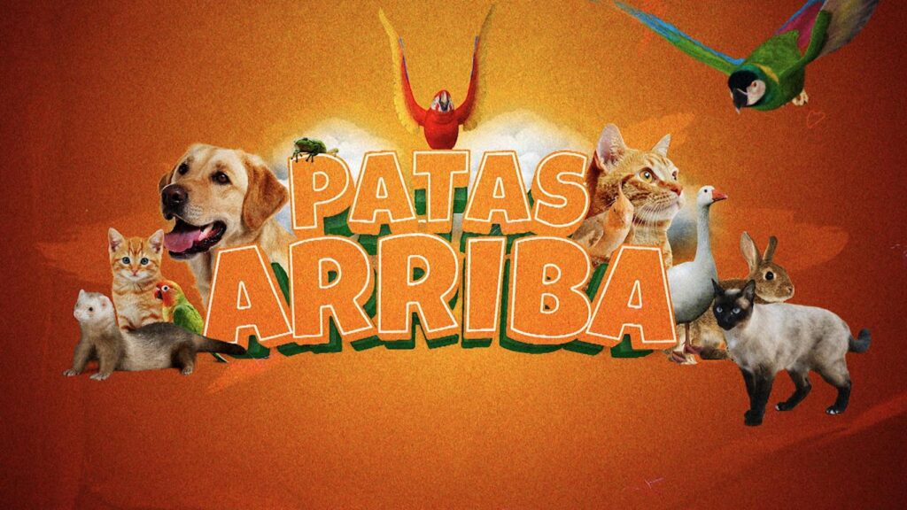 ¡’Patas Arriba’ da el campanazo con su emisión número 100!